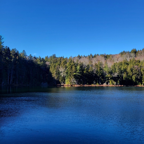 David Yurman 14k silver onyx earing Traded With Goose - Picture 1 of 9